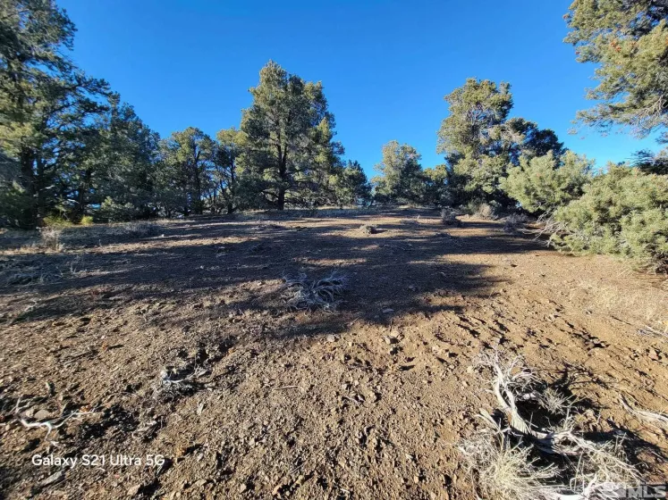 1450 Yellowjacket, Reno, Nevada 89521, ,Land,Residential,Yellowjacket,250002456