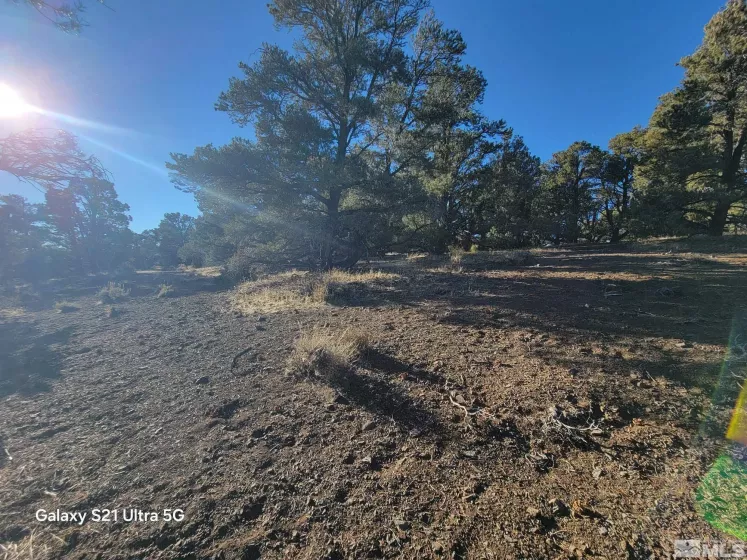 1450 Yellowjacket, Reno, Nevada 89521, ,Land,Residential,Yellowjacket,250002456