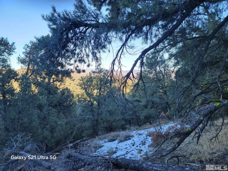 1450 Yellowjacket, Reno, Nevada 89521, ,Land,Residential,Yellowjacket,250002456