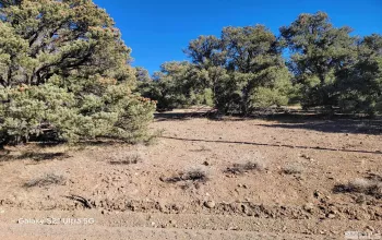 1450 Yellowjacket, Reno, Nevada 89521, ,Land,Residential,Yellowjacket,250002456