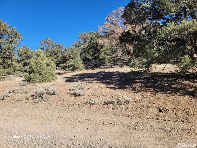 1450 Yellowjacket, Reno, Nevada 89521, ,Land,Residential,Yellowjacket,250002456