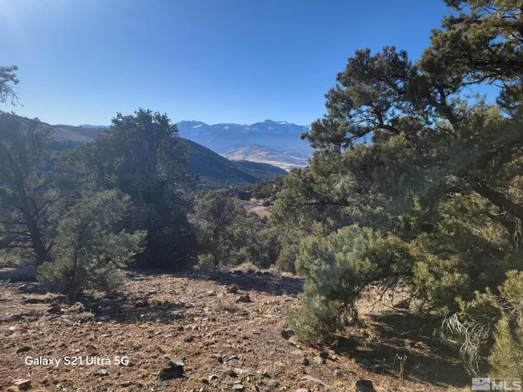 1450 Yellowjacket, Reno, Nevada 89521, ,Land,Residential,Yellowjacket,250002456