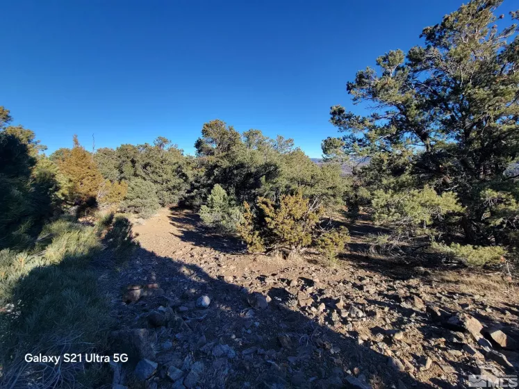 1450 Yellowjacket, Reno, Nevada 89521, ,Land,Residential,Yellowjacket,250002456