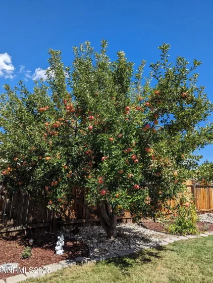 5170 Lorenzo, Sparks, Nevada 89436, 3 Bedrooms Bedrooms, ,3 BathroomsBathrooms,Residential,Residential,Lorenzo,250050717