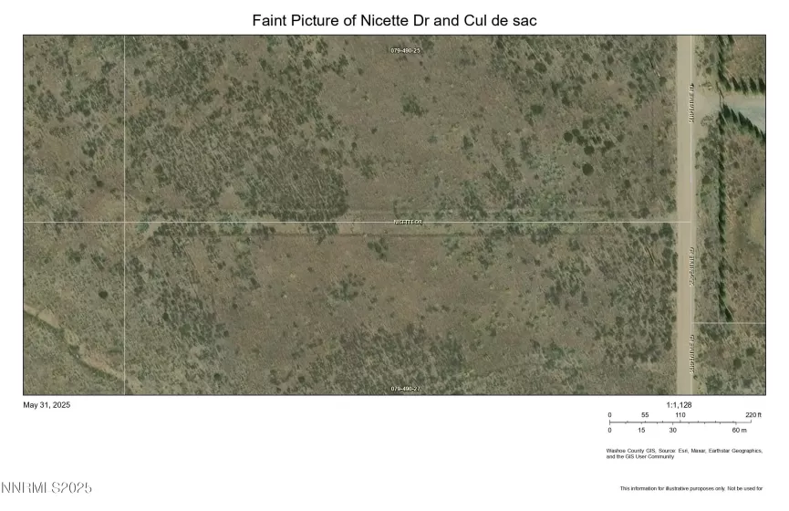 0 Nicette Dr., Reno, Nevada 89506, ,Land,Residential,Nicette Dr.,250050741