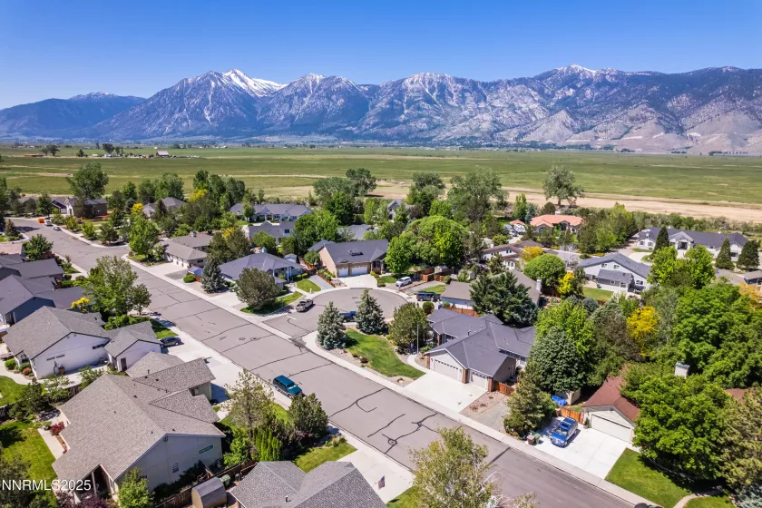 867 Mahogany, Minden, Nevada 89423, 3 Bedrooms Bedrooms, ,2 BathroomsBathrooms,Residential,Residential,Mahogany,250050744