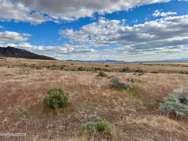 22080 Scout, Lovelock, Nevada 89419, ,Land,Residential,Scout,250050752