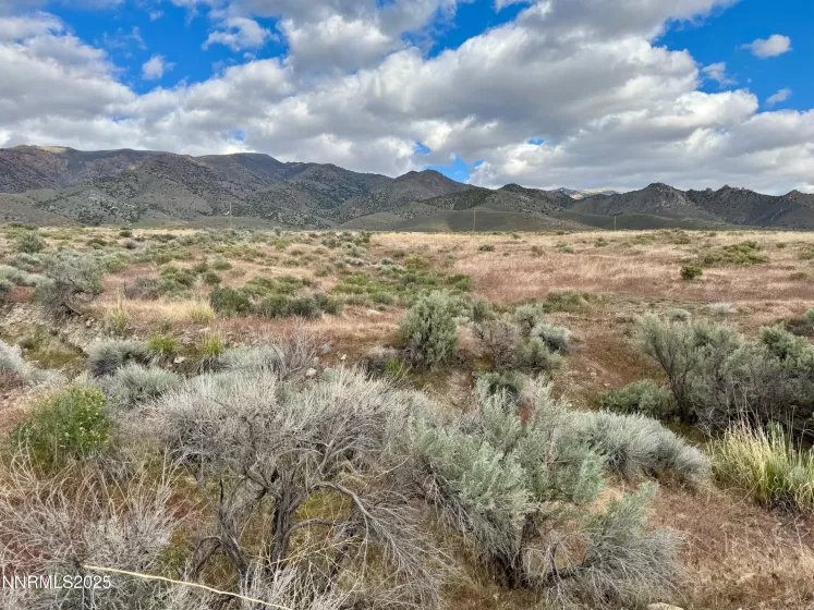 22080 Scout, Lovelock, Nevada 89419, ,Land,Residential,Scout,250050752