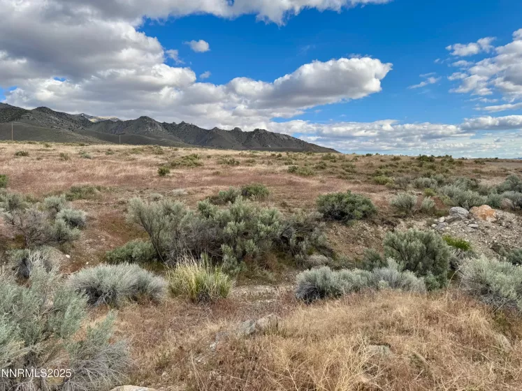 22080 Scout, Lovelock, Nevada 89419, ,Land,Residential,Scout,250050752