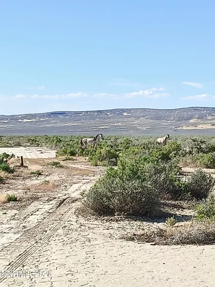 6055 Flanigan, Reno, Nevada 89510, ,Land,Residential,Flanigan,250050758