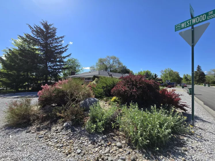 1290 Westwood, Reno, Nevada 89509, 2 Bedrooms Bedrooms, ,2 BathroomsBathrooms,Residential,Residential,Westwood,250050759