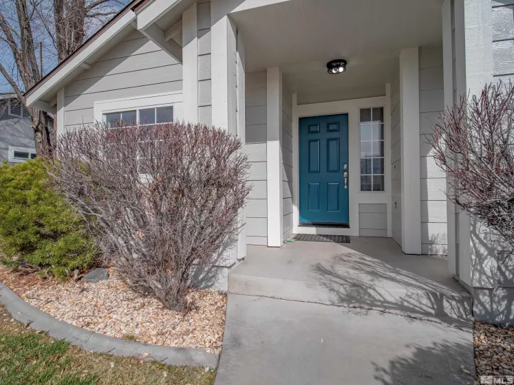 1771 Lantana, Minden, Nevada 89423, 3 Bedrooms Bedrooms, ,2 BathroomsBathrooms,Residential,Residential,Lantana,250003512