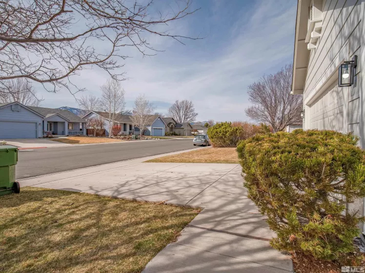 1771 Lantana, Minden, Nevada 89423, 3 Bedrooms Bedrooms, ,2 BathroomsBathrooms,Residential,Residential,Lantana,250003512
