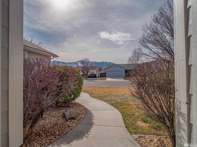 1771 Lantana, Minden, Nevada 89423, 3 Bedrooms Bedrooms, ,2 BathroomsBathrooms,Residential,Residential,Lantana,250003512