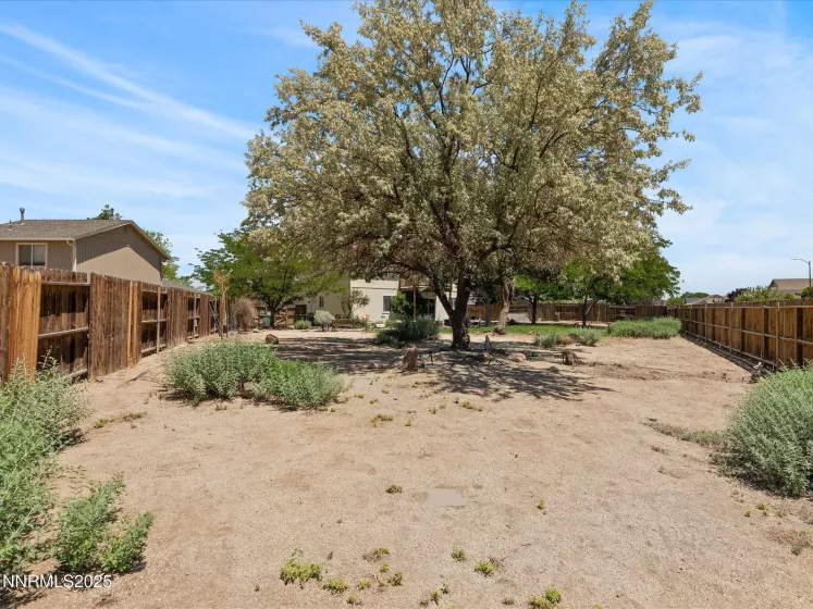 207 Poppy Hills, Fernley, Nevada 89408, 3 Bedrooms Bedrooms, ,3 BathroomsBathrooms,Residential,Residential,Poppy Hills,250050787