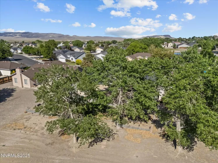 337 Ben's, Fernley, Nevada 89408, 3 Bedrooms Bedrooms, ,2 BathroomsBathrooms,Residential,Residential,Ben's,250050786