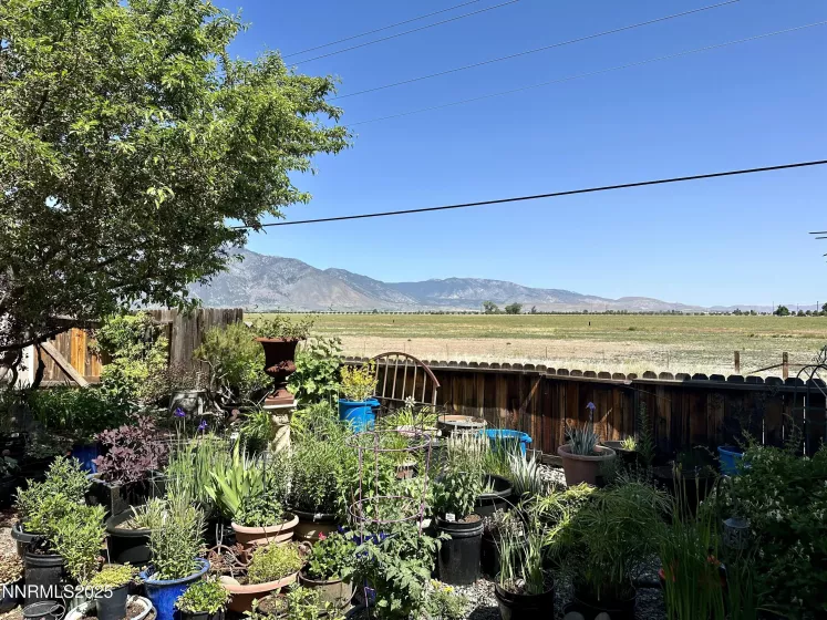 1171 White Oak, Minden, Nevada 89423, 3 Bedrooms Bedrooms, ,2 BathroomsBathrooms,Residential,Residential,White Oak,250050788