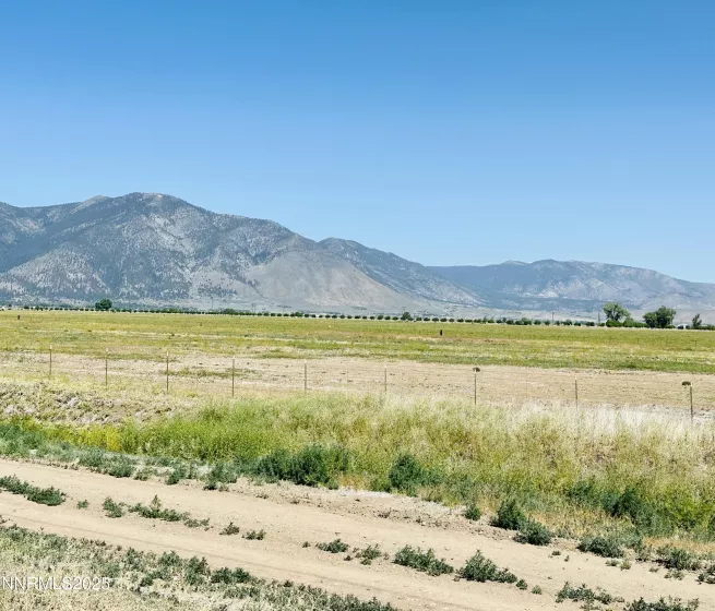 1171 White Oak, Minden, Nevada 89423, 3 Bedrooms Bedrooms, ,2 BathroomsBathrooms,Residential,Residential,White Oak,250050788