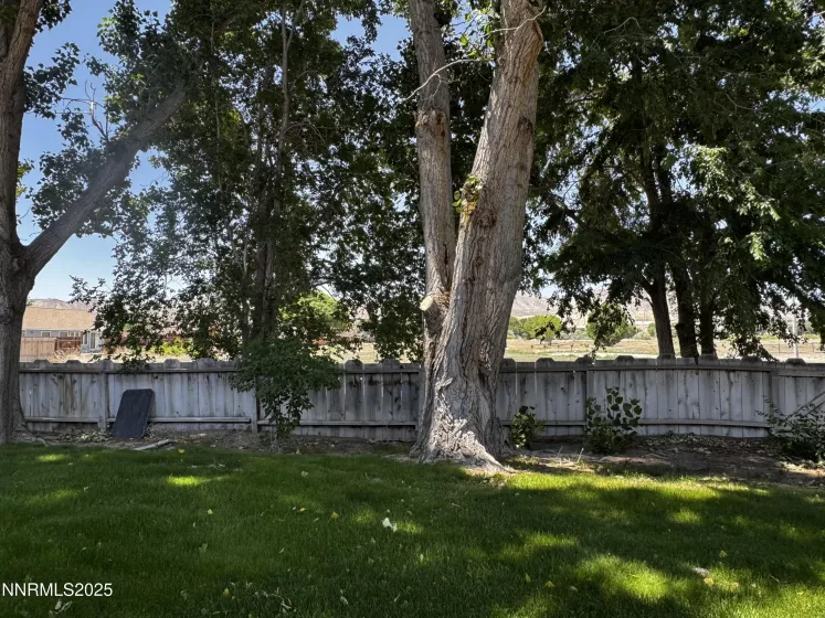 34 Poplar, Yerington, Nevada 89447, 3 Bedrooms Bedrooms, ,3 BathroomsBathrooms,Residential,Residential,Poplar,250050815