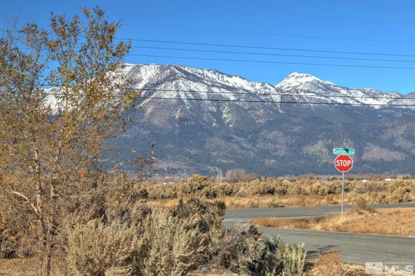 4800 Leo Bingo, Washoe Valley, Nevada 89704, ,Land,Residential,Leo Bingo,230013323