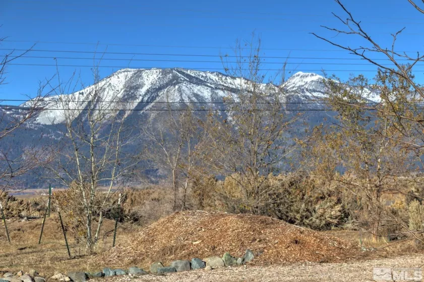 4800 Leo Bingo, Washoe Valley, Nevada 89704, ,Land,Residential,Leo Bingo,230013323