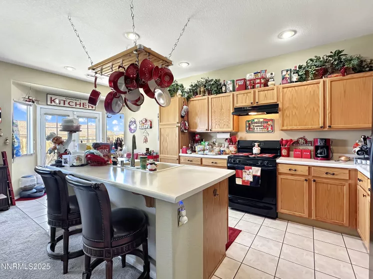 8490 Coral Reef, Reno, Nevada 89506, 3 Bedrooms Bedrooms, ,2 BathroomsBathrooms,Residential,Residential,Coral Reef,250050858