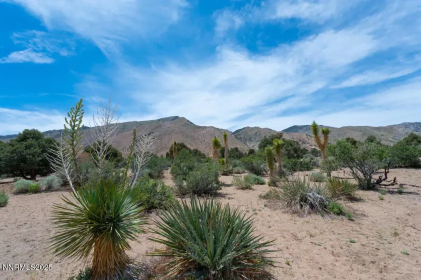 5 Pinon, Wellington, Nevada 89444, 3 Bedrooms Bedrooms, ,3 BathroomsBathrooms,Residential,Residential,Pinon,250050879