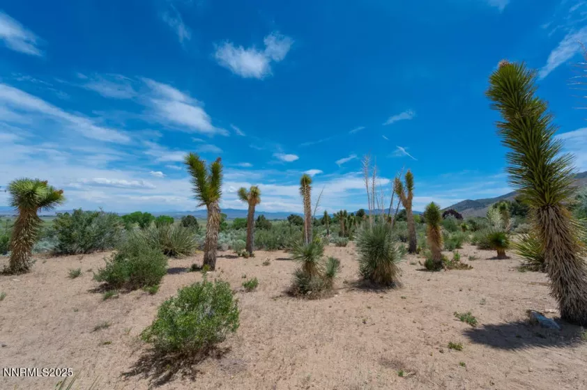 5 Pinon, Wellington, Nevada 89444, 3 Bedrooms Bedrooms, ,3 BathroomsBathrooms,Residential,Residential,Pinon,250050879