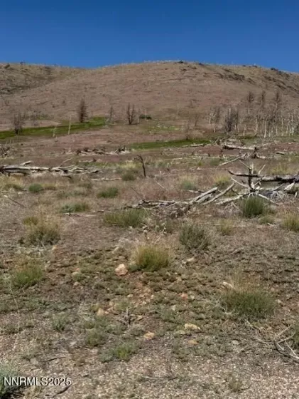 tbd Hwy 395, Gardnerville, Nevada 89410, ,Land,Residential,Hwy 395,250050920
