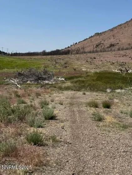 tbd Hwy 395, Gardnerville, Nevada 89410, ,Land,Residential,Hwy 395,250050920