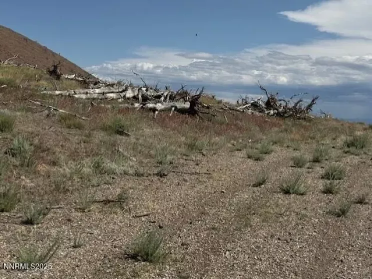 tbd Hwy 395, Gardnerville, Nevada 89410, ,Land,Residential,Hwy 395,250050920