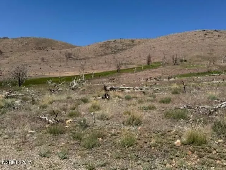 tbd Hwy 395, Gardnerville, Nevada 89410, ,Land,Residential,Hwy 395,250050920