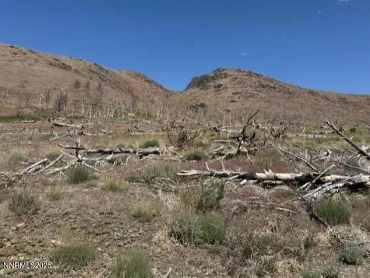 tbd Hwy 395, Gardnerville, Nevada 89410, ,Land,Residential,Hwy 395,250050920