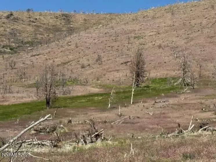tbd Hwy 395, Gardnerville, Nevada 89410, ,Land,Residential,Hwy 395,250050920