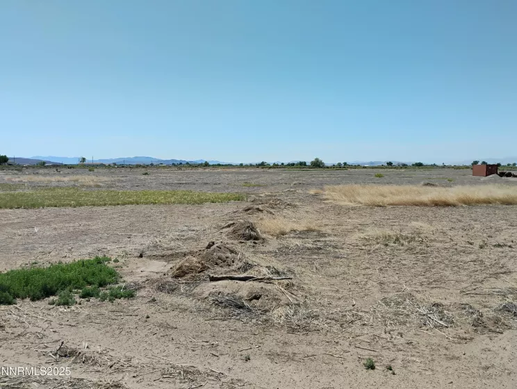 4514 Benson, Fallon, Nevada 89406, ,Land,Residential,Benson,250050922