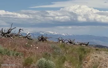 Facing South