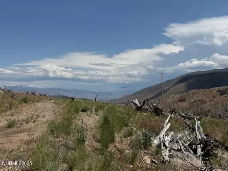 tbd Hwy 395, Gardnerville, Nevada 89410, ,Land,Residential,Hwy 395,250050929