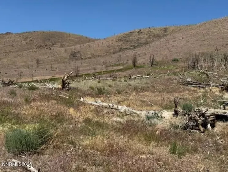 looking at the spring that flows from the hill.