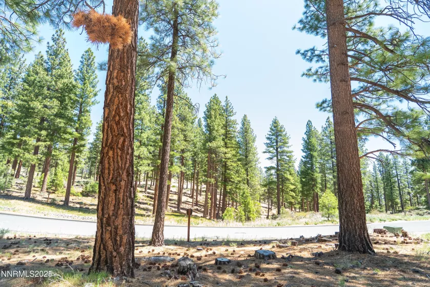 46 Boulders Bnd, Carson City, Nevada 89705, ,Land,Residential,Boulders Bnd,250050265