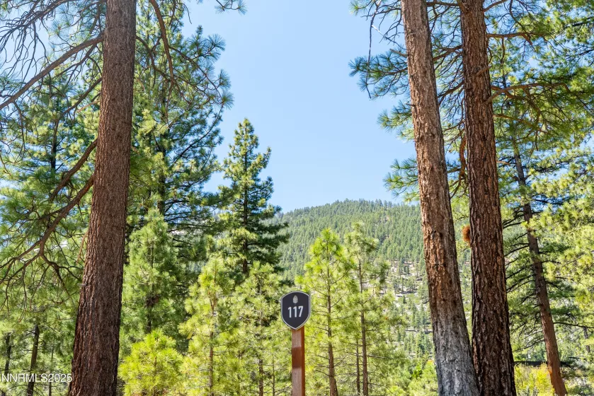 46 Boulders Bnd, Carson City, Nevada 89705, ,Land,Residential,Boulders Bnd,250050265
