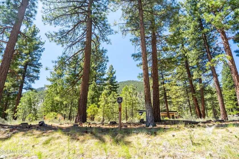 46 Boulders Bnd, Carson City, Nevada 89705, ,Land,Residential,Boulders Bnd,250050265