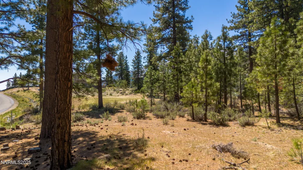 46 Boulders Bnd, Carson City, Nevada 89705, ,Land,Residential,Boulders Bnd,250050265