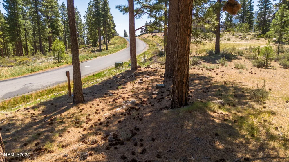 46 Boulders Bnd, Carson City, Nevada 89705, ,Land,Residential,Boulders Bnd,250050265