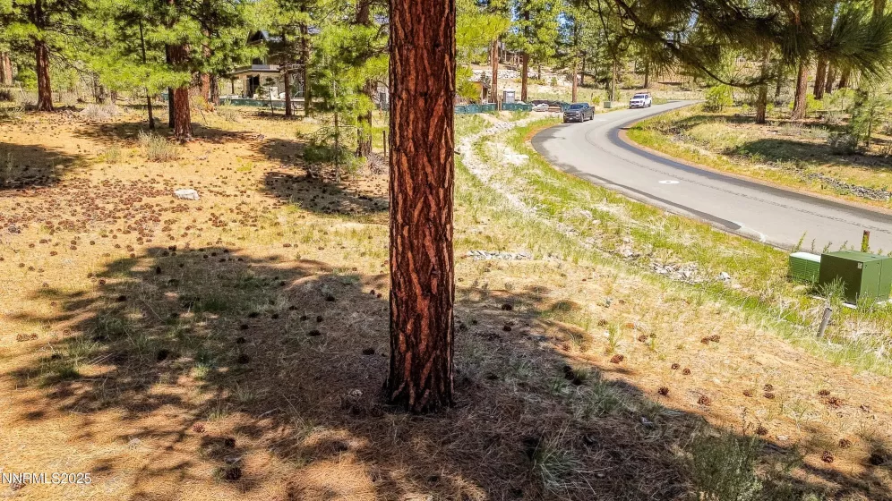 46 Boulders Bnd, Carson City, Nevada 89705, ,Land,Residential,Boulders Bnd,250050265