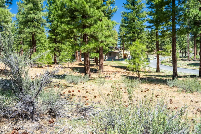 46 Boulders Bnd, Carson City, Nevada 89705, ,Land,Residential,Boulders Bnd,250050265