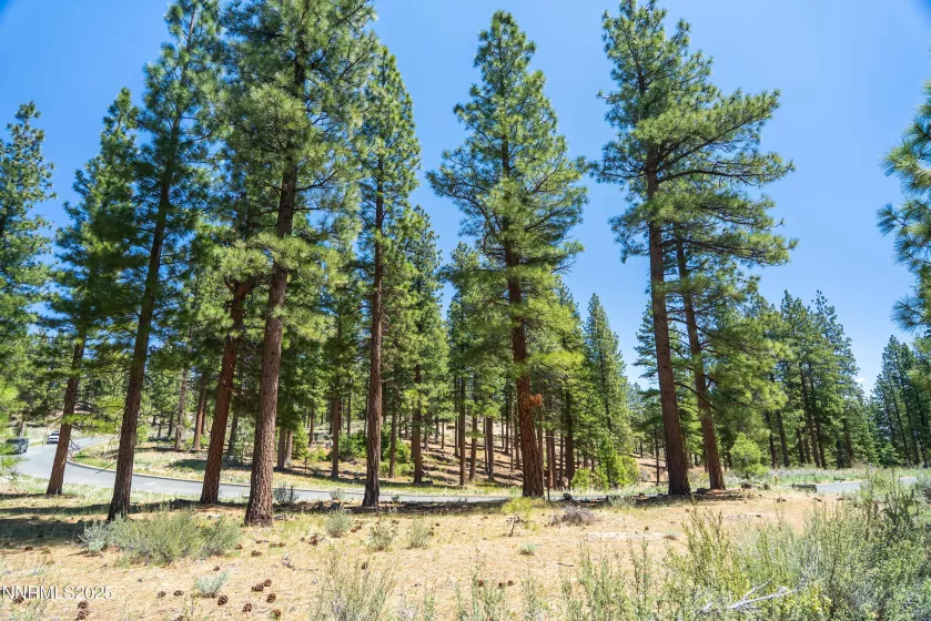 46 Boulders Bnd, Carson City, Nevada 89705, ,Land,Residential,Boulders Bnd,250050265