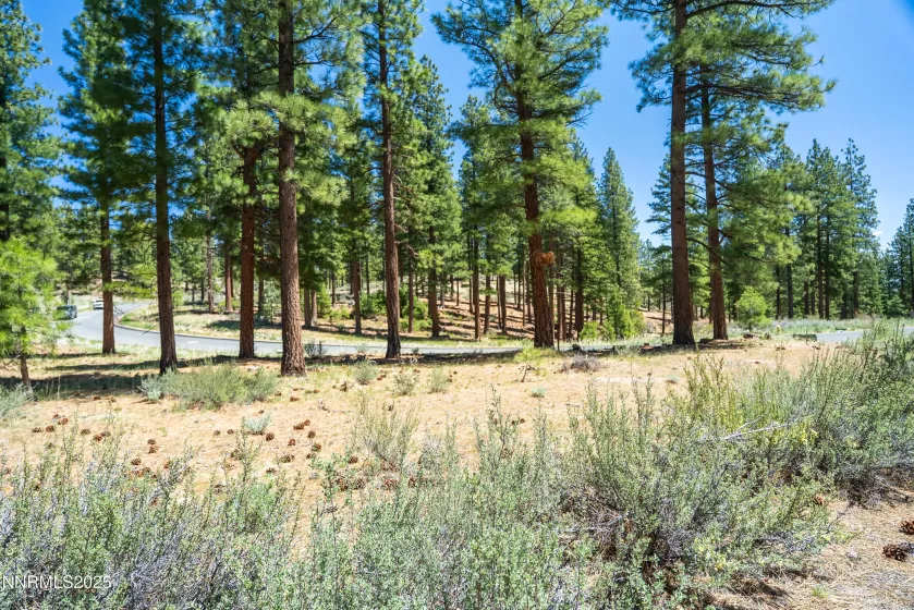 46 Boulders Bnd, Carson City, Nevada 89705, ,Land,Residential,Boulders Bnd,250050265
