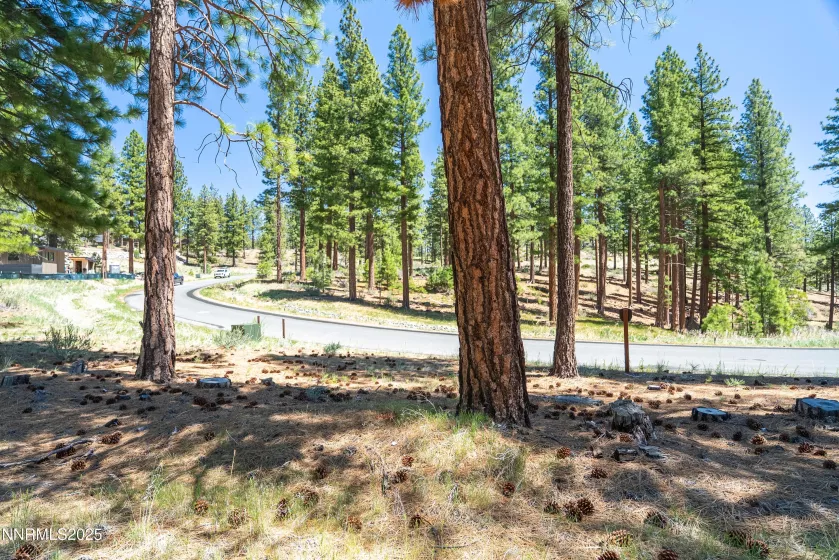 46 Boulders Bnd, Carson City, Nevada 89705, ,Land,Residential,Boulders Bnd,250050265