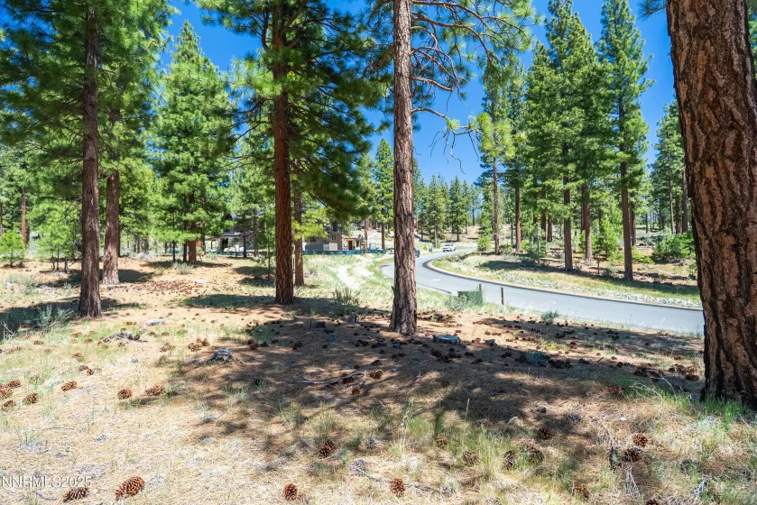 46 Boulders Bnd, Carson City, Nevada 89705, ,Land,Residential,Boulders Bnd,250050265