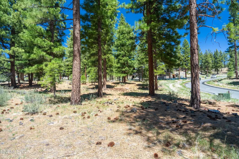 46 Boulders Bnd, Carson City, Nevada 89705, ,Land,Residential,Boulders Bnd,250050265